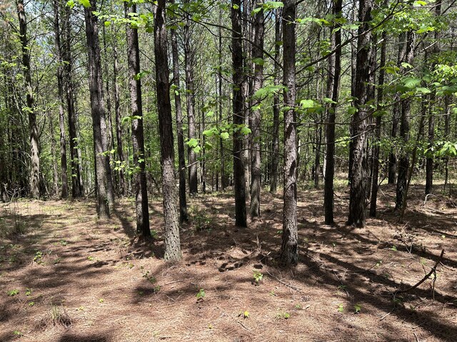 250 Bear Trace Dr Unit Rb 200, Jasper, TN 37347