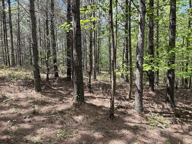 250 Bear Trace Dr Unit Rb 200, Jasper, TN 37347