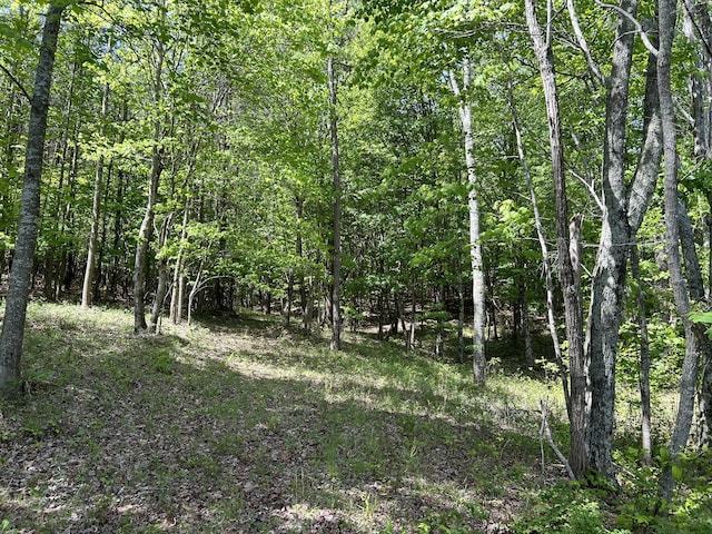 250 Bear Trace Dr Unit Rb 200, Jasper, TN 37347