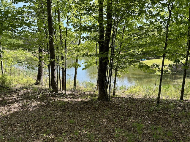 250 Bear Trace Dr Unit Rb 200, Jasper, TN 37347