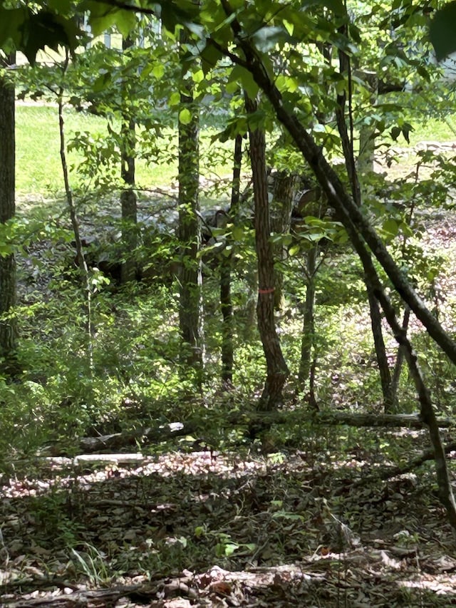 250 Bear Trace Dr Unit Rb 200, Jasper, TN 37347