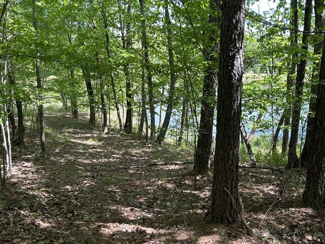 250 Bear Trace Dr Unit Rb 200, Jasper, TN 37347