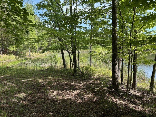 250 Bear Trace Dr Unit Rb 200, Jasper, TN 37347