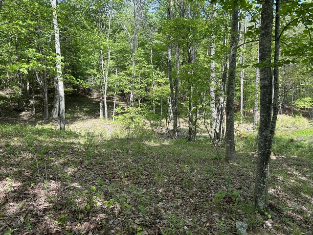 250 Bear Trace Dr Unit Rb 200, Jasper, TN 37347