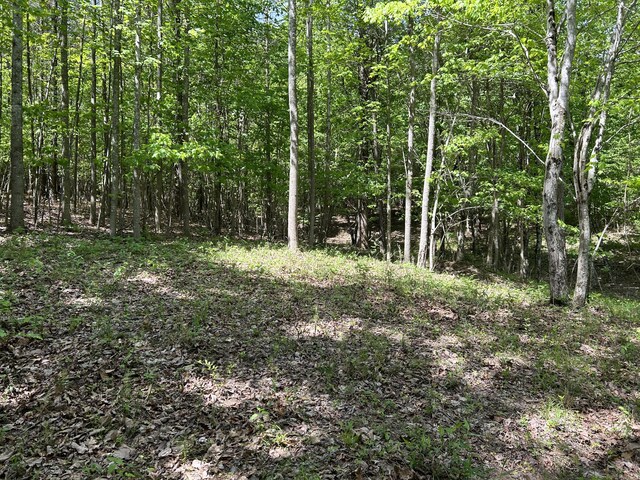 250 Bear Trace Dr Unit Rb 200, Jasper, TN 37347
