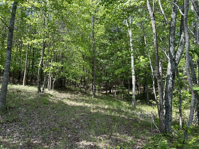 250 Bear Trace Dr Unit Rb 200, Jasper, TN 37347