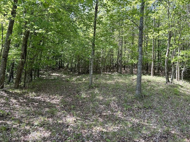 250 Bear Trace Dr Unit Rb 200, Jasper, TN 37347