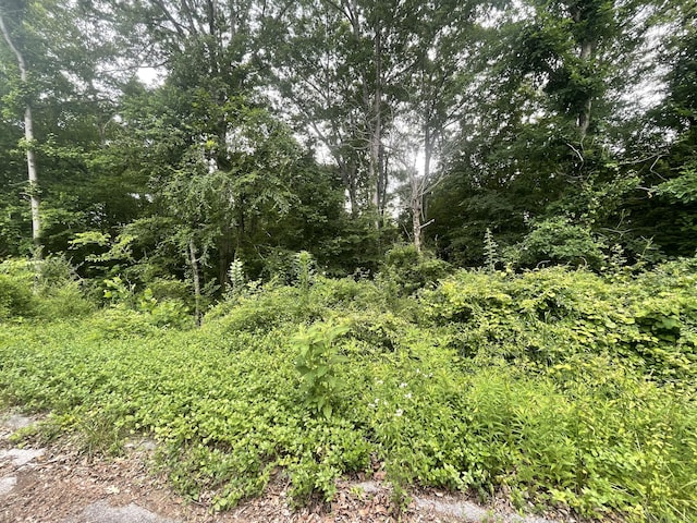 0 Bretton Dr, Soddy Daisy, TN 37379