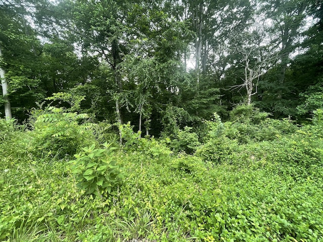 0 Bretton Dr, Soddy Daisy, TN 37379