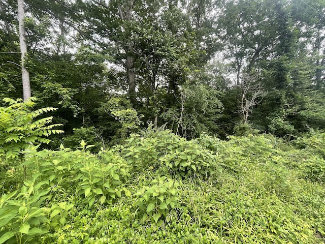 0 Bretton Dr, Soddy Daisy, TN 37379