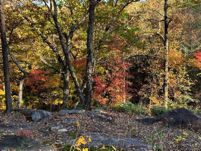 Listing photo 3 for LOT43AB Gray Rock Vw, Pikeville TN 37367