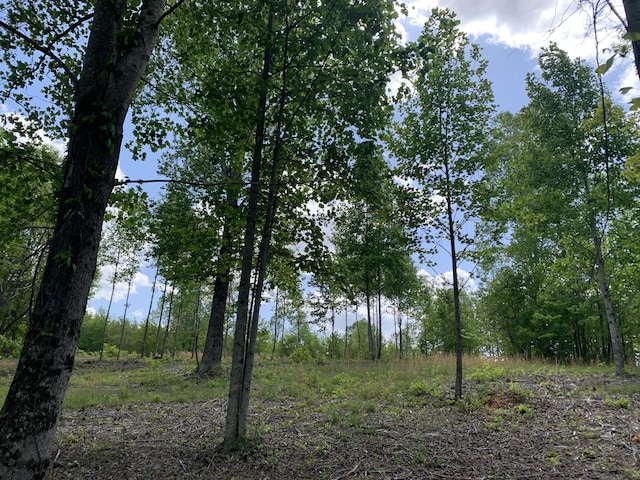 260 Cherokee Path Unit Jf-285, Jasper, TN 37347
