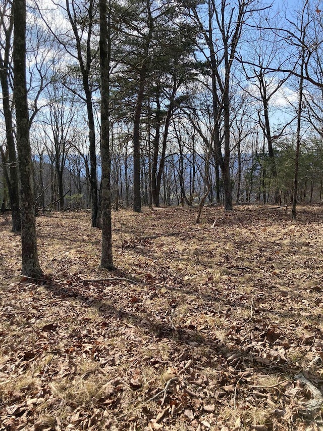 0 Grandview Rd, Signal Mountain TN, 37377 land for sale