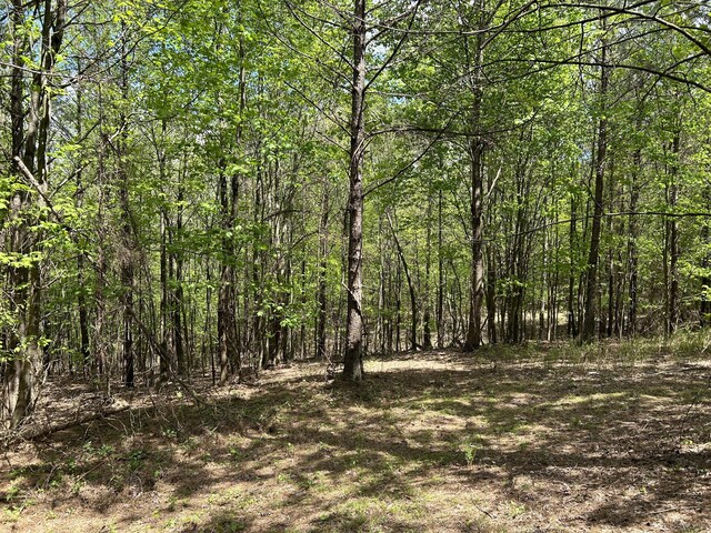 290 Bear Trace Dr Unit Rb-201, Jasper, TN 37347