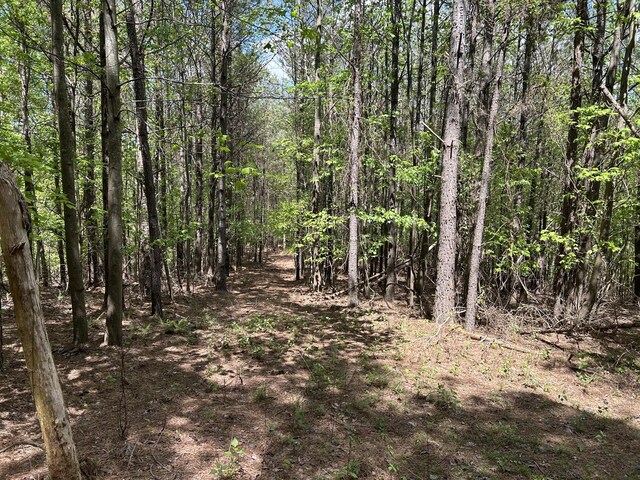 290 Bear Trace Dr Unit Rb-201, Jasper, TN 37347