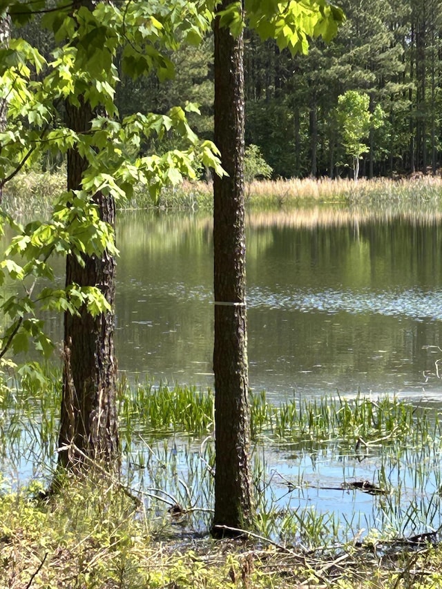 290 Bear Trace Dr Unit Rb-201, Jasper, TN 37347