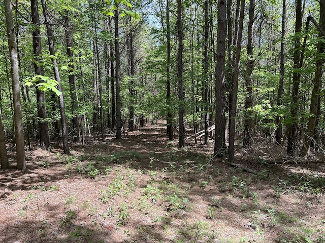290 Bear Trace Dr Unit Rb-201, Jasper, TN 37347