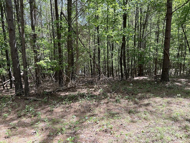 290 Bear Trace Dr Unit Rb-201, Jasper, TN 37347