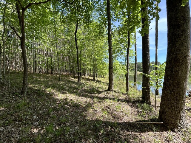 290 Bear Trace Dr Unit Rb-201, Jasper, TN 37347