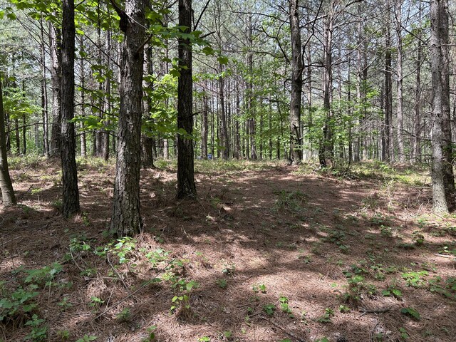 290 Bear Trace Dr Unit Rb-201, Jasper, TN 37347
