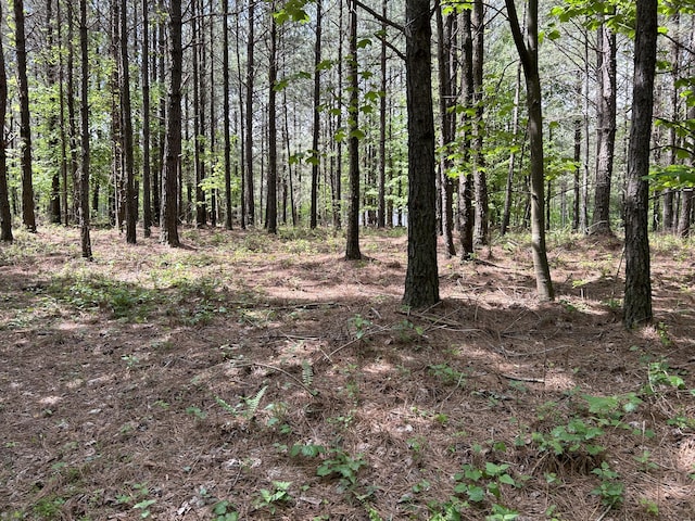 290 Bear Trace Dr Unit Rb-201, Jasper, TN 37347
