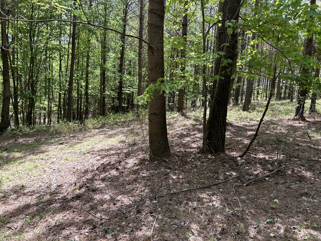 290 Bear Trace Dr Unit Rb-201, Jasper, TN 37347