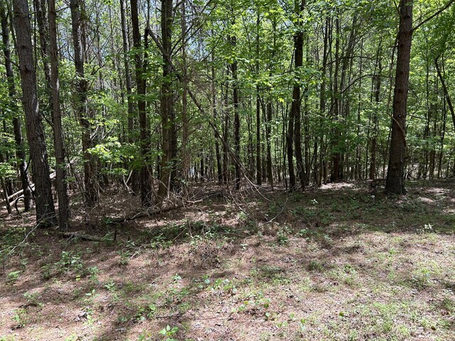 290 Bear Trace Dr Unit Rb-201, Jasper, TN 37347