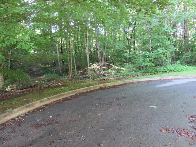 65 Golf Villa Dr, Dunlap, TN 37327 - photo 3