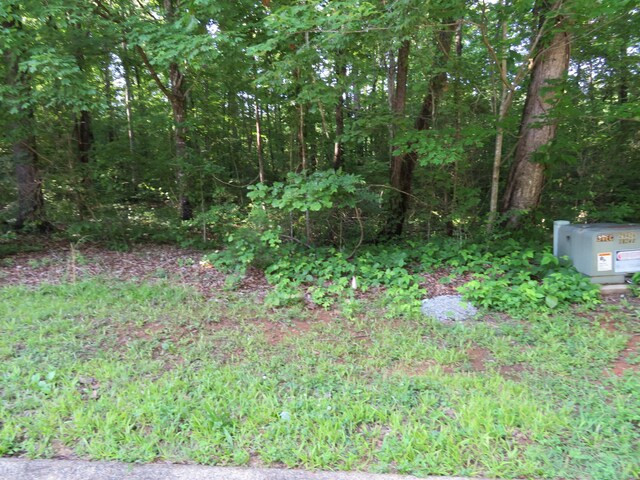 65 Golf Villa Dr, Dunlap, TN 37327 - photo 5