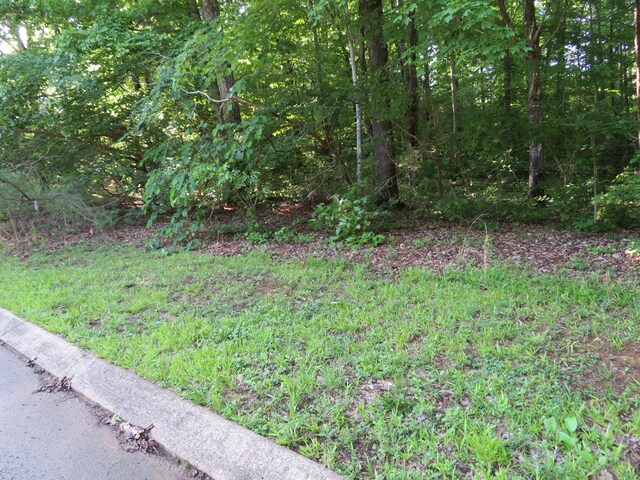 65 Golf Villa Dr, Dunlap, TN 37327 - photo 6