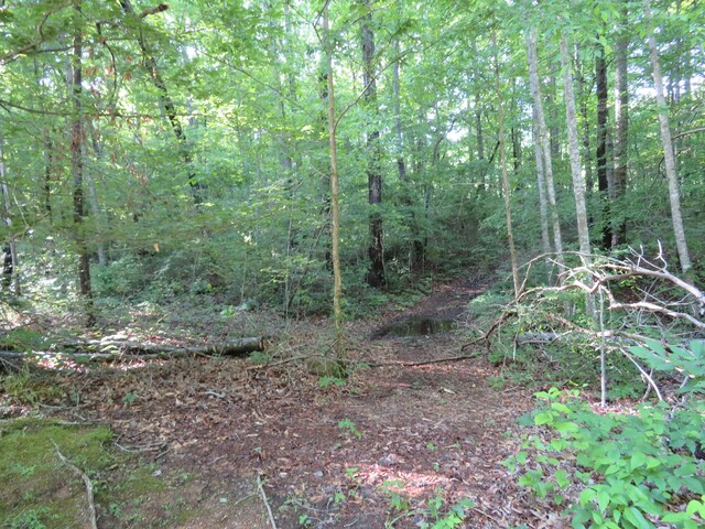 65 Golf Villa Dr, Dunlap, TN 37327 - photo 8
