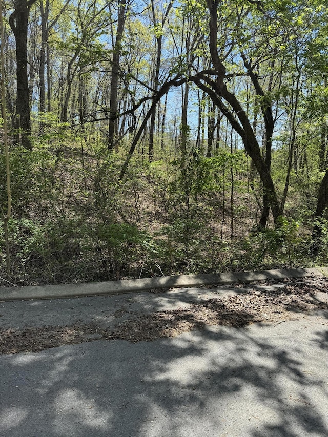 21 Hidden Ridge Loop, Dunlap TN, 37327 land for sale