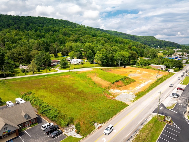 9254 Springfield Rd Lot 4, Soddy Daisy, TN 37379 - photo 5