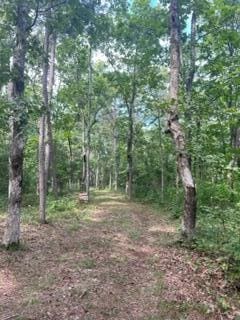 Listing photo 2 for 0 Polly Ln, Signal Mountain TN 37377