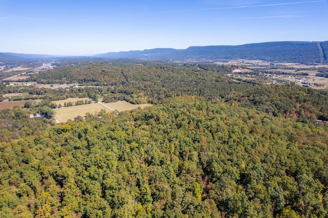 61243 Stone Cave Lp, Dunlap, TN 37327 - photo 1