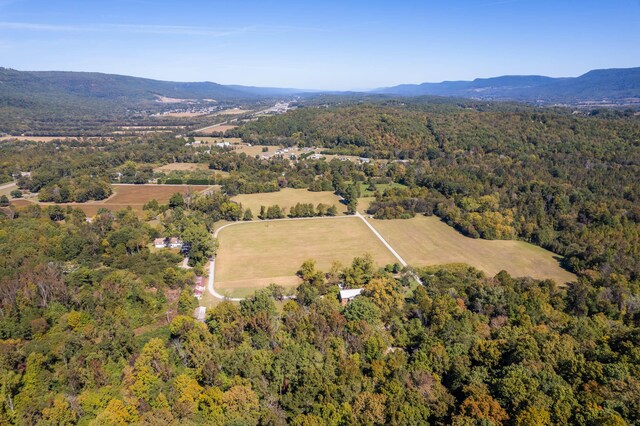 61243 Stone Cave Lp, Dunlap, TN 37327 - photo 4