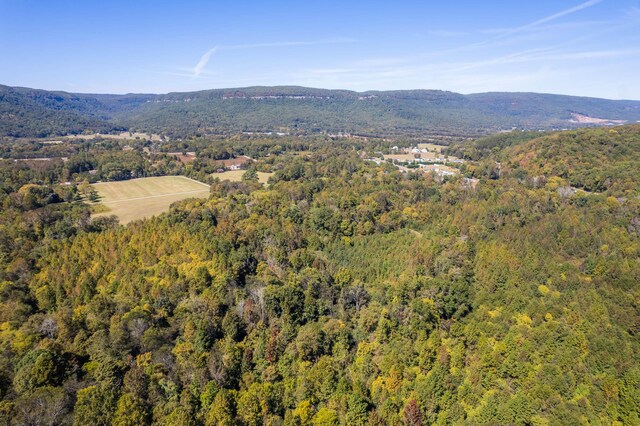61243 Stone Cave Lp, Dunlap, TN 37327 - photo 7