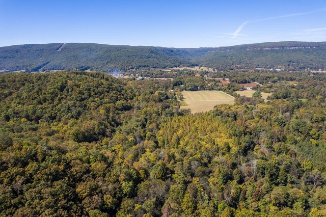 61243 Stone Cave Lp, Dunlap, TN 37327 - photo 8