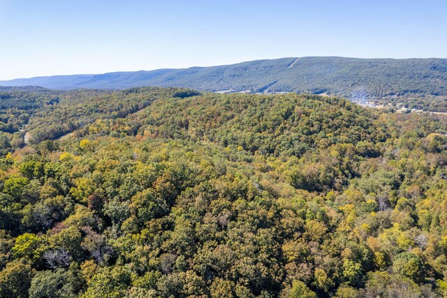61243 Stone Cave Lp, Dunlap, TN 37327 - photo 9