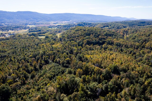 61243 Stone Cave Lp, Dunlap, TN 37327 - photo 10