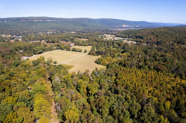 61243 Stone Cave Lp, Dunlap, TN 37327 - photo 11