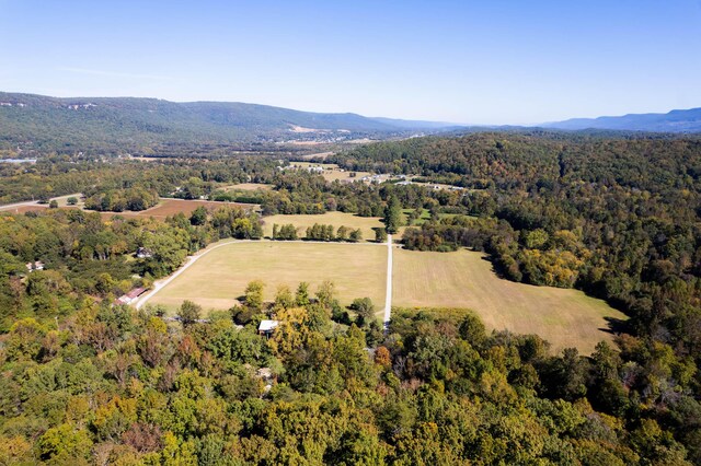 61243 Stone Cave Lp, Dunlap, TN 37327 - photo 12