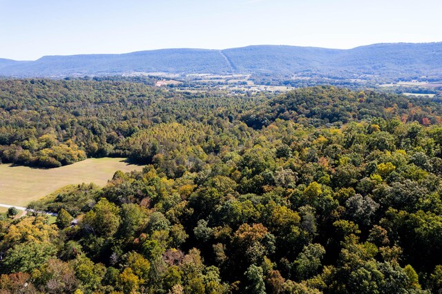 61243 Stone Cave Lp, Dunlap, TN 37327 - photo 13