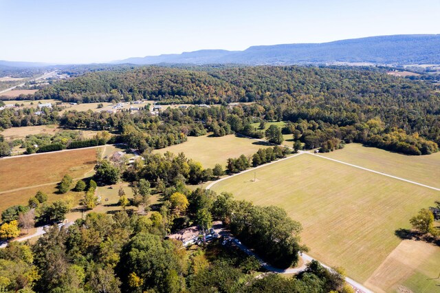 61243 Stone Cave Lp, Dunlap, TN 37327 - photo 17