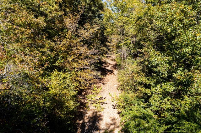 61243 Stone Cave Lp, Dunlap, TN 37327 - photo 24