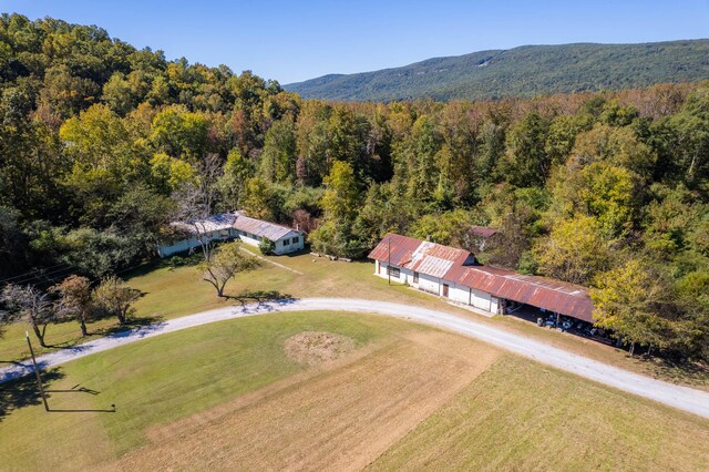 61243 Stone Cave Lp, Dunlap, TN 37327 - photo 29