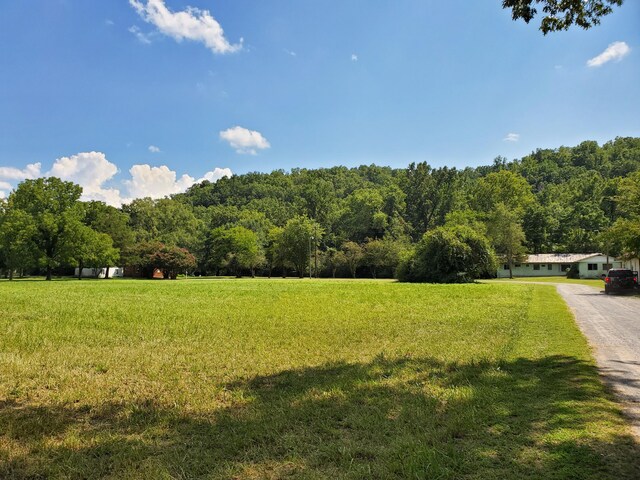 61243 Stone Cave Lp, Dunlap, TN 37327 - photo 31