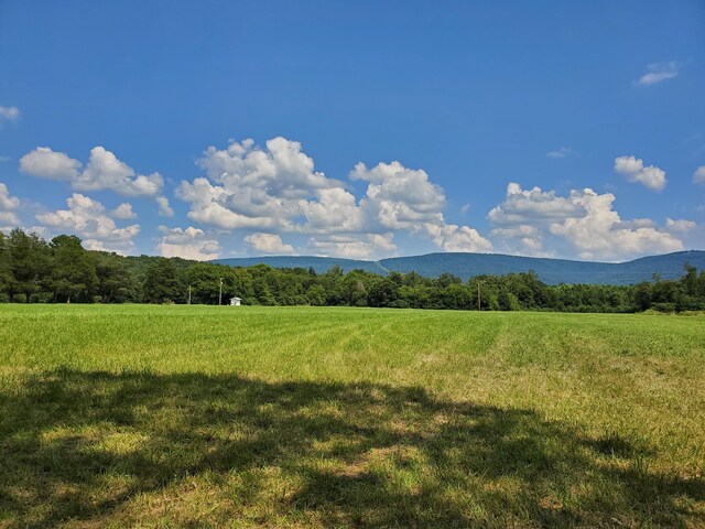 61243 Stone Cave Lp, Dunlap, TN 37327 - photo 33