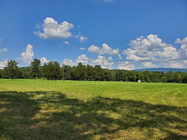 61243 Stone Cave Lp, Dunlap, TN 37327 - photo 34