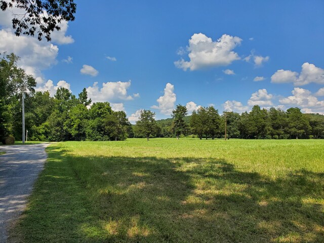 61243 Stone Cave Lp, Dunlap, TN 37327 - photo 35
